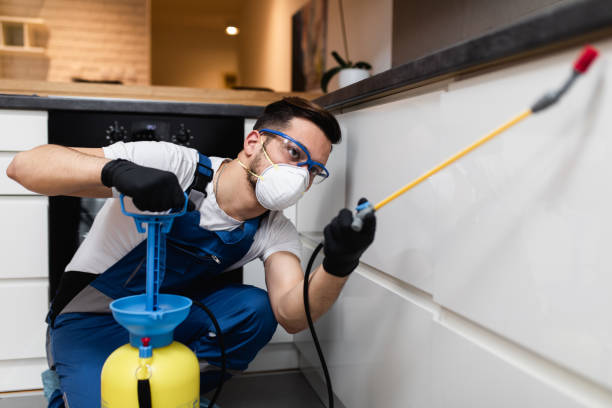 Best Flea Control Services  in East Lansdowne, PA