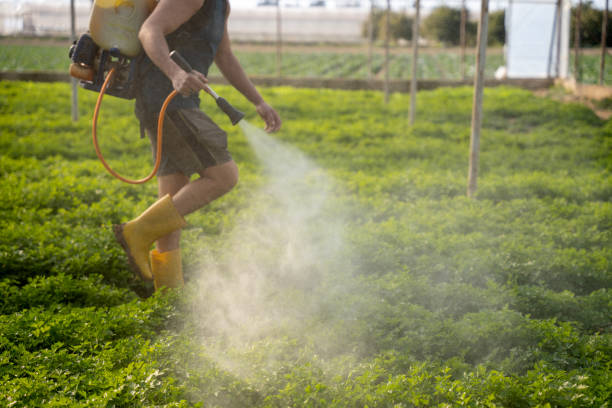 Best Local Pest Control Services  in East Lansdowne, PA