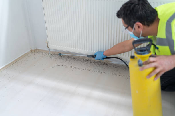 Best Residential Pest Control  in East Lansdowne, PA